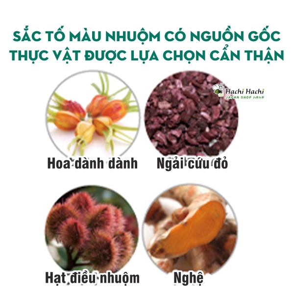 Kem-u-nhuom-phu-bac-Rishiri-(4).jpg